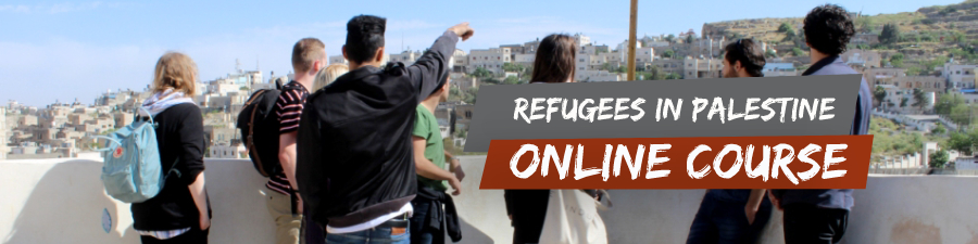 Online Crash Courses - Volunteer in Palestine - West Bank