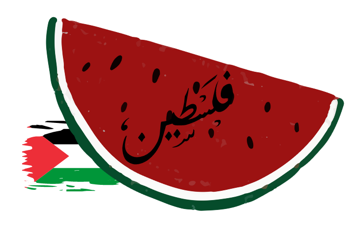 Volunteer Programs in Palestine